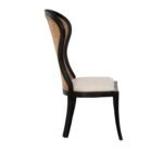 Blue City Decor Noir Adrina Side Chair (Set Of 2) - Image 5