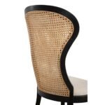 Blue City Decor Noir Adrina Side Chair (Set Of 2) - Image 8